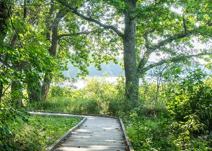 Chic Sauna Near The Sea - Vulin Nº01 * Tsitre